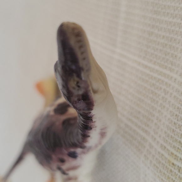 Vintage Rare Plesioaurus Rubber Dinosaur - Picture 6 of 7